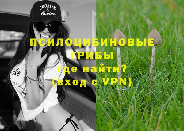 не бодяженный Балахна