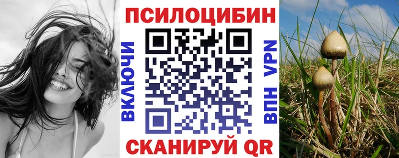 Псилоцибиновые грибы MAGIC MUSHROOMS  Суздаль 