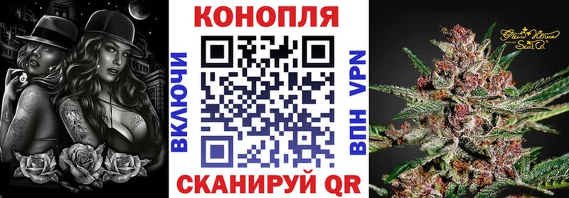 Бошки Шишки семена  наркота  MEGA как войти  Суздаль 